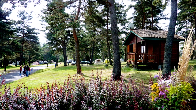 https://espace-ptl.ancv.com/appli/butterfly/data/medias_PA/PHOTOS/012351001001/0123510010012cWJu9crco-camping7.jpg