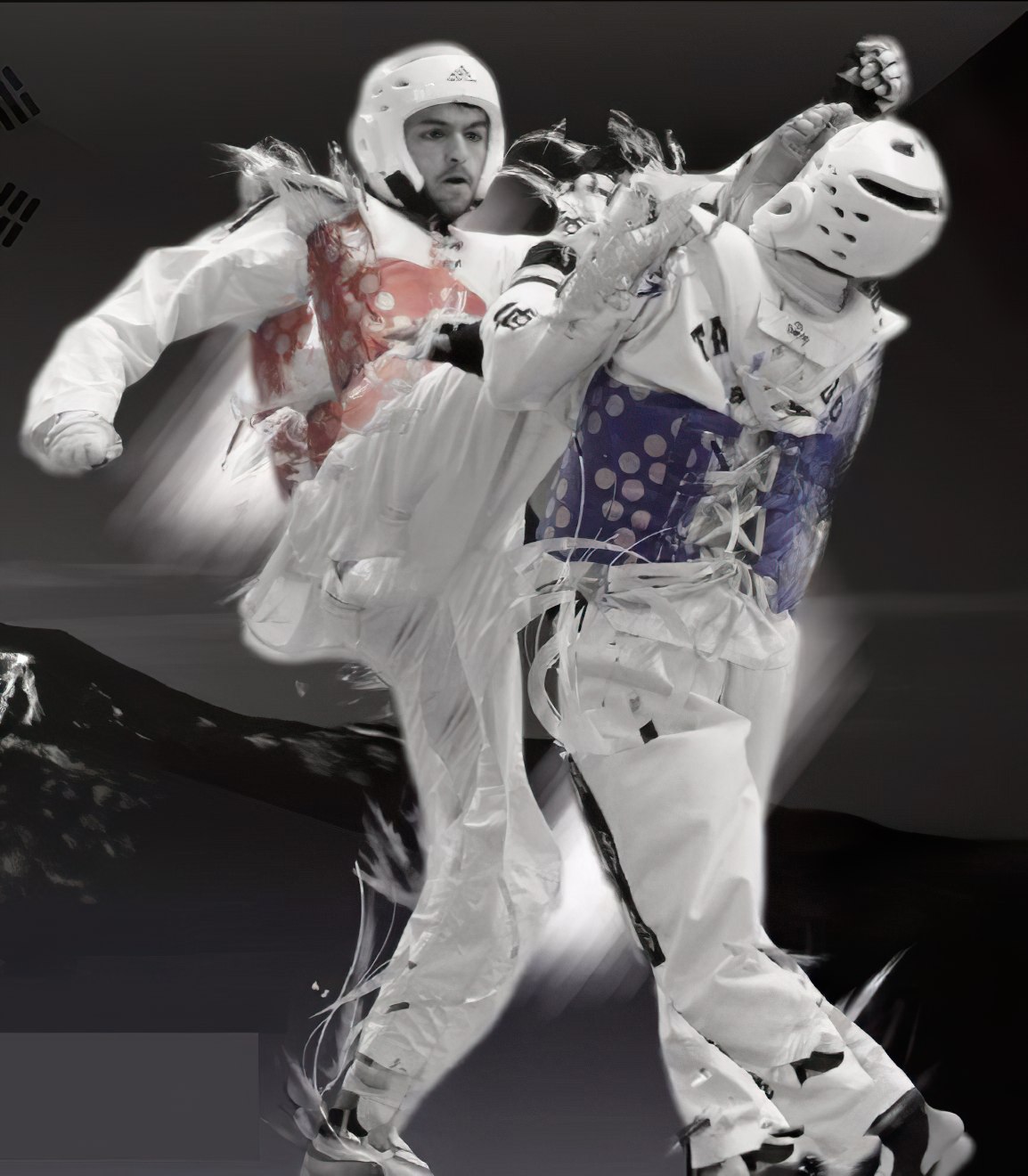 https://espace-ptl.ancv.com/appli/butterfly/data/medias_PA/PHOTOS/663202001001/663202001001JmHPNytimO-Taekwondo-clement-martinez-combat-competition.jpg